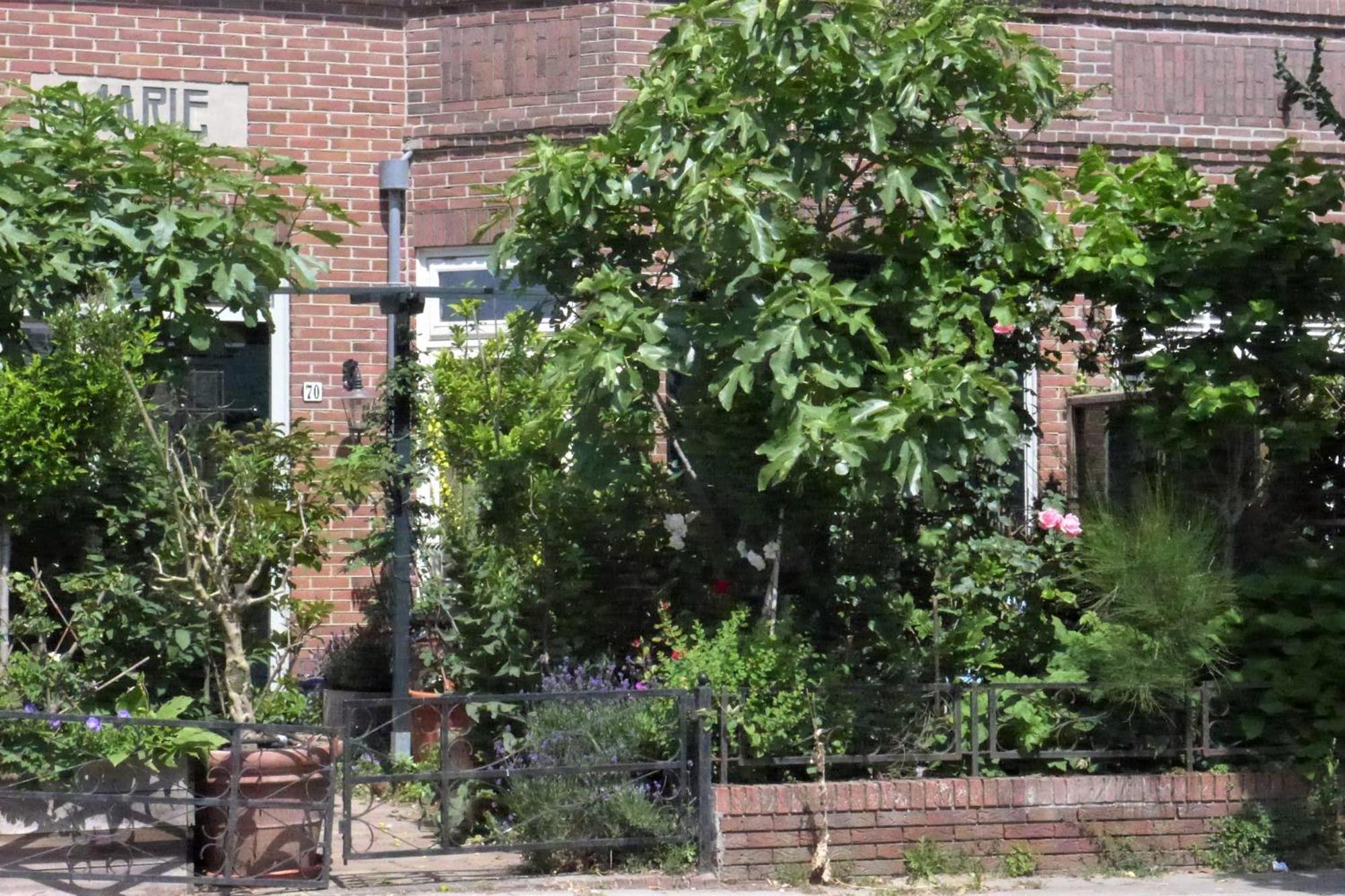Family Home Marie Zandvoort Buitenkant foto