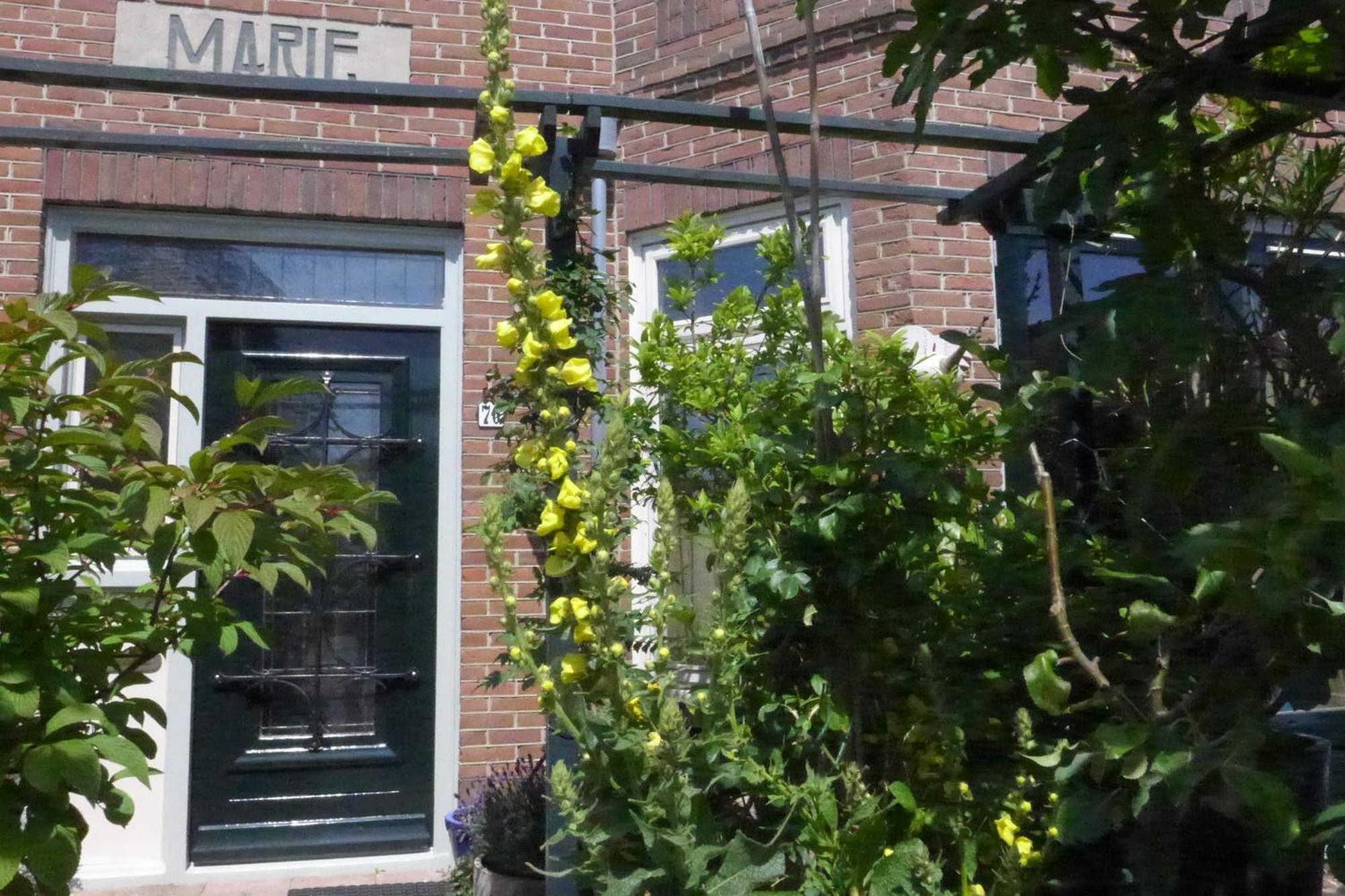 Family Home Marie Zandvoort Buitenkant foto